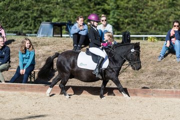 Bild 69 - Pony Akademie Turnier